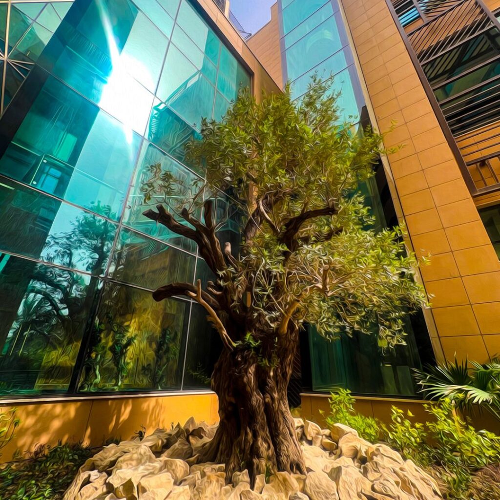 18- Olive Tree - GRAND MILLENNIUM AL-SEEF BASRA HOTEL - IRAQ Olive-Tree-GRAND-MILLENNIUM-AL-SEEF-BASRA-HOTEL-IRAQ