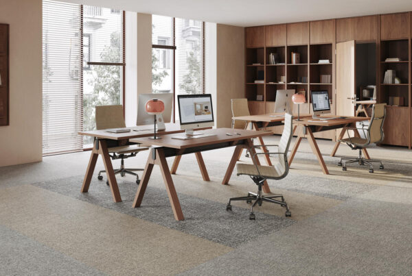 DESSO CARPETS - LINON COLLECTION - LINON UNITY - CARPET ROLLS - WALL TO WALL CARPET - VINYL FLOORING - PVC - CARPET TILES - CUT PILE - LOOP PILE - CARPET 2